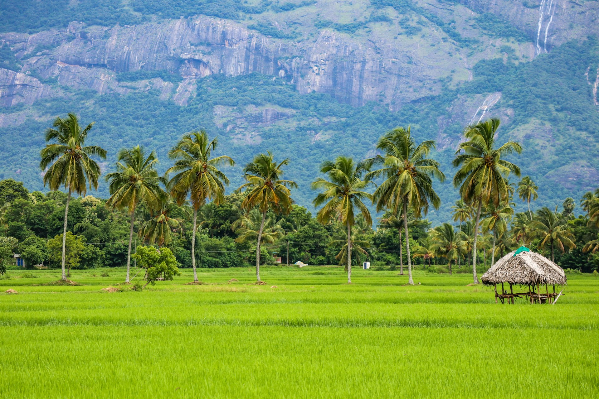 India_South